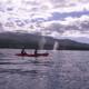 Makena Kayaking