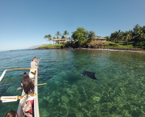 Makena Canoe Manta Makena Canoe Manta