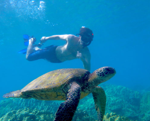 Snorkel with turtle Makena